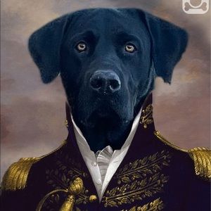 Meet your Posher, Marcus